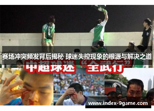 赛场冲突频发背后揭秘 球迷失控现象的根源与解决之道