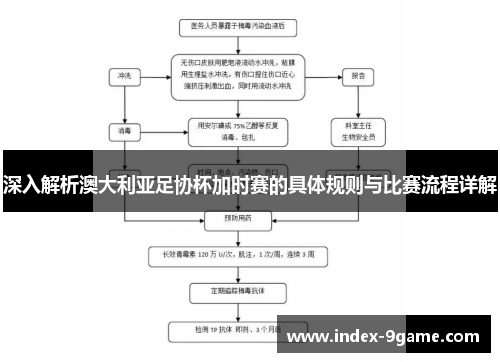 深入解析澳大利亚足协杯加时赛的具体规则与比赛流程详解 深入解析澳大利亚足协杯加时赛的具体规则与比赛流程详解