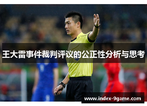 王大雷事件裁判评议的公正性分析与思考