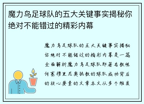 魔力鸟足球队的五大关键事实揭秘你绝对不能错过的精彩内幕 魔力鸟足球队的五大关键事实揭秘你绝对不能错过的精彩内幕